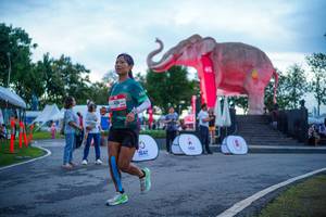 BIB: 
                            <button type="button" onclick="openModal(26551750)" class="btn btn-primary btn-sm float-right btn-popup" data-toggle="modal" data-target=".modal-high-quality">
                        <i class="fas fa-shopping-cart"></i> Add to Cart
                    </button>
                                            <button type="button" onclick="isThisMe(26551750, true)" class="btn btn-success btn-sm float-right btn-popup btn-isme hidden" data-toggle="tooltip" data-placement="bottom" title="นี่คือรูปของคุณใช่ไหม คลิกที่นี่เพื่อเอาเข้าอัลบั้ม">
                        <i class="fas fa-plus"></i> Add to album
                    </button>
                    <button type="button" onclick="isThisMe(26551750, false)" class="btn btn-warning btn-sm float-right btn-popup btn-isnotme hidden">
                        <i class="fas fa-ban"></i> Remove from album
                    </button>